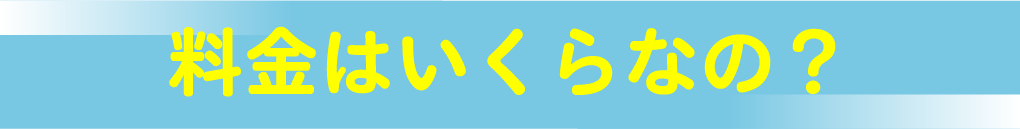 料金はいくらなの?